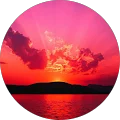 Paula Mullikin Avatar